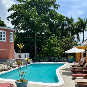 Couette-café The Blue Orchid, Montego Bay